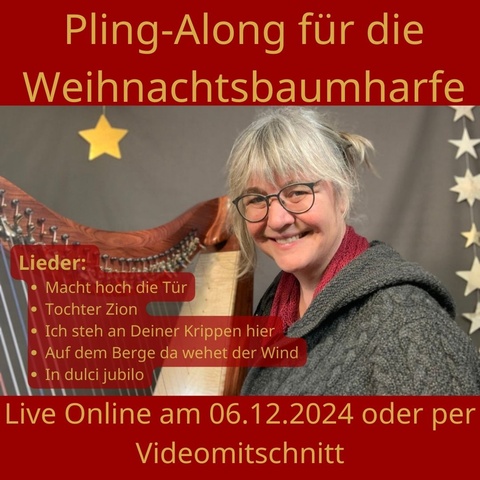 Pling-Along für die Weihnachtsbaumharfe Kursbild