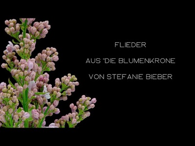 Vorschauvideo 5