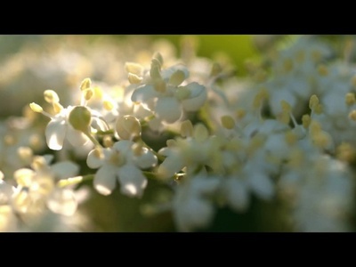 Vorschauvideo 2