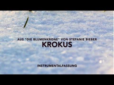 Vorschauvideo 2