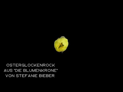 Vorschauvideo 3
