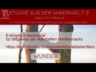Vorschauvideo 2
