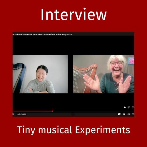 Tiny musical Experiments - Interview